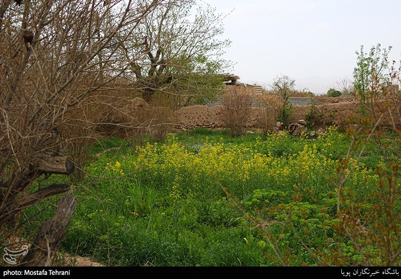 کوچه باغ های سمنان