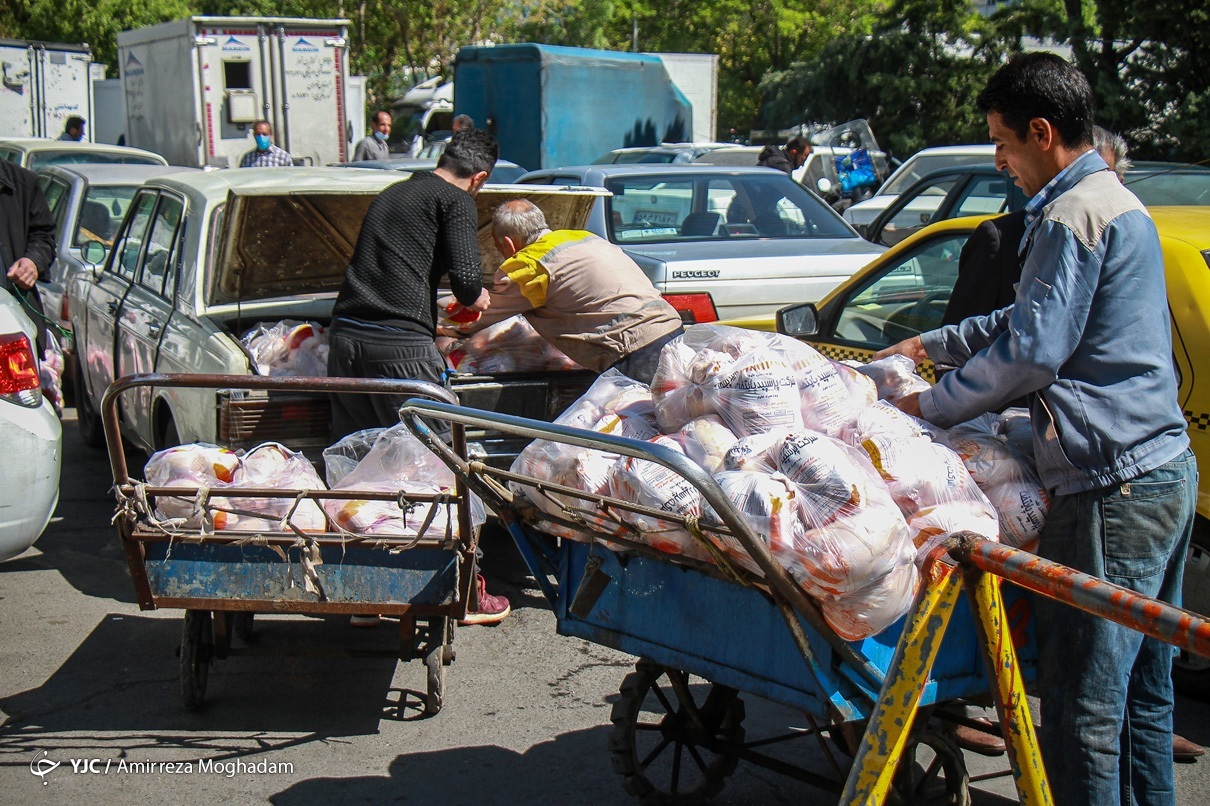 عکس/ افزایش عرضه مرغ پس از افزایش قیمت!