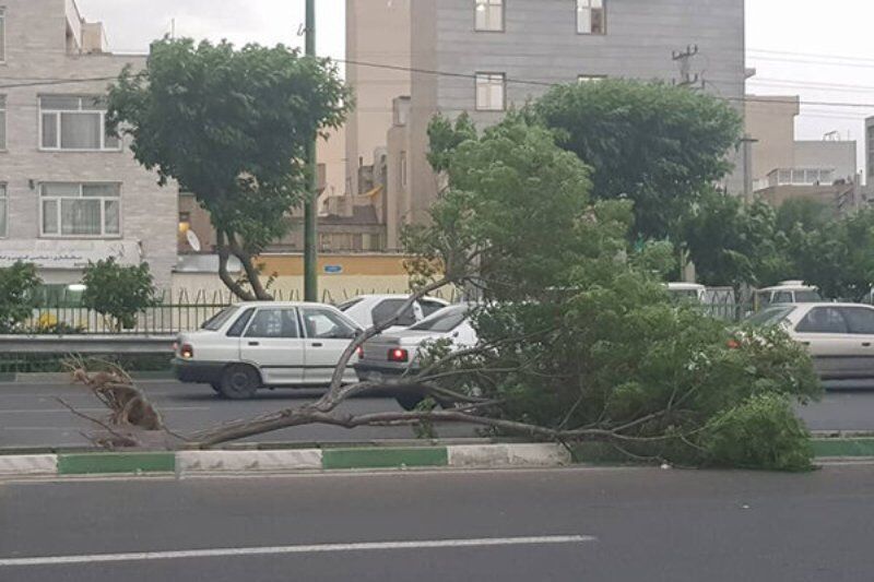 تندباد ۱۲۵ میلیارد ریال به چهارمحالوبختیاری خسارت زد