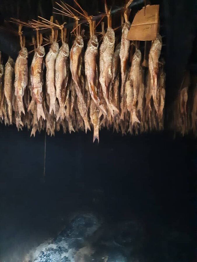 عکس/ گشت و گذاری در کارگاه تهیه ماهی دودی