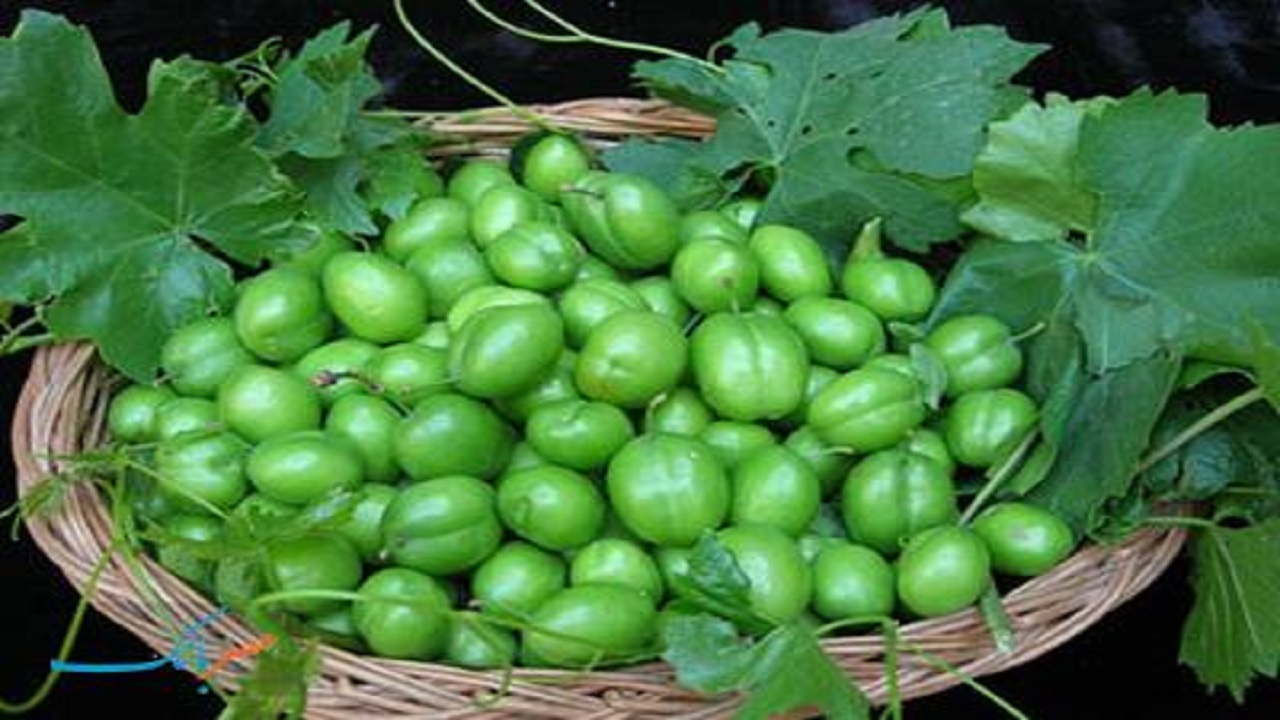 هسته میوه ها به دلیل ترکیبات سمی نباید مصرف شوند