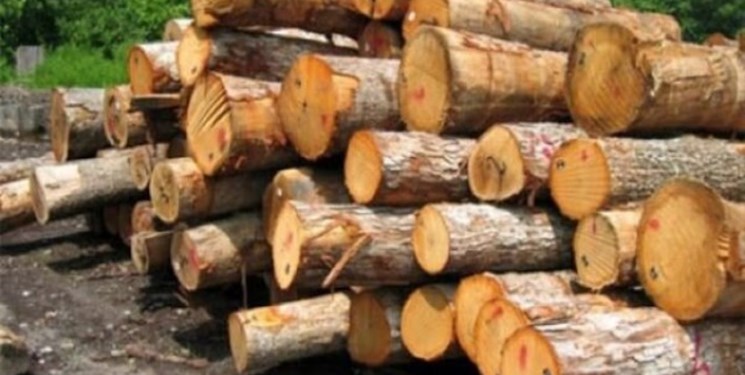 کشف ۶۹۰ کیلوگرم چوب قاچاق در لردگان