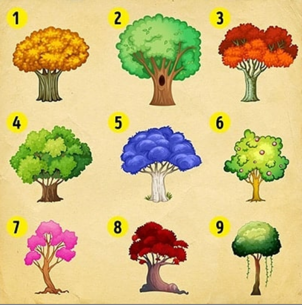 روانشناسی/ درخت مورد علاقه شما کدام است؟