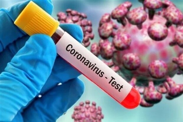 ۴۳۹ مورد جدید مبتلا به کرونا ویروس در ایلام شناسایی شد