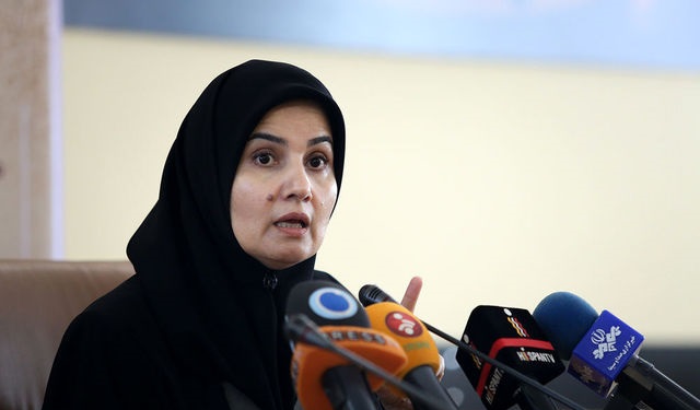 جنیدی: اصلاحات انجام شده در قانون همه پرسی را به دولت ارجاع دادیم