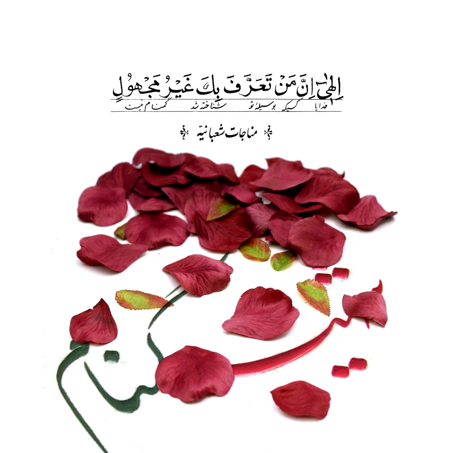 طرح/ گمنام نیست