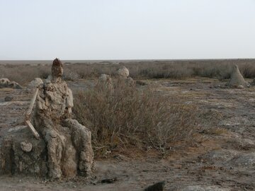 عکس/ تالاب کجی نمکزار نهبندان