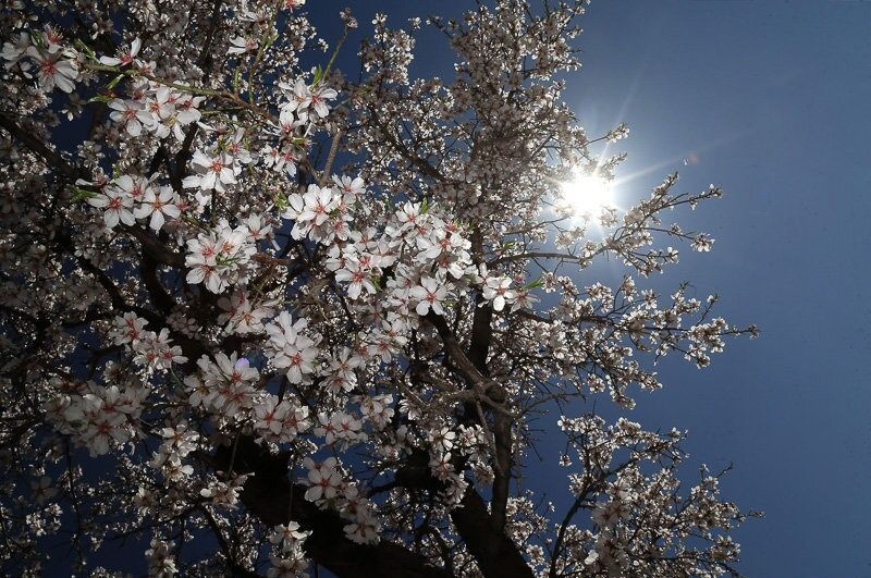 گرم‌‌‍تر شدن دمای هوا در مازندران