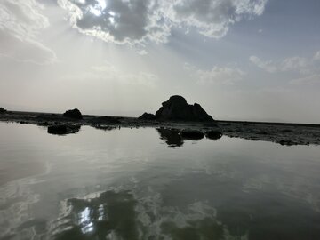 عکس/ تالاب کجی نمکزار نهبندان