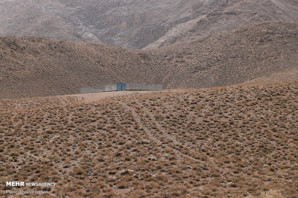 جنگ صنعت و طبیعت