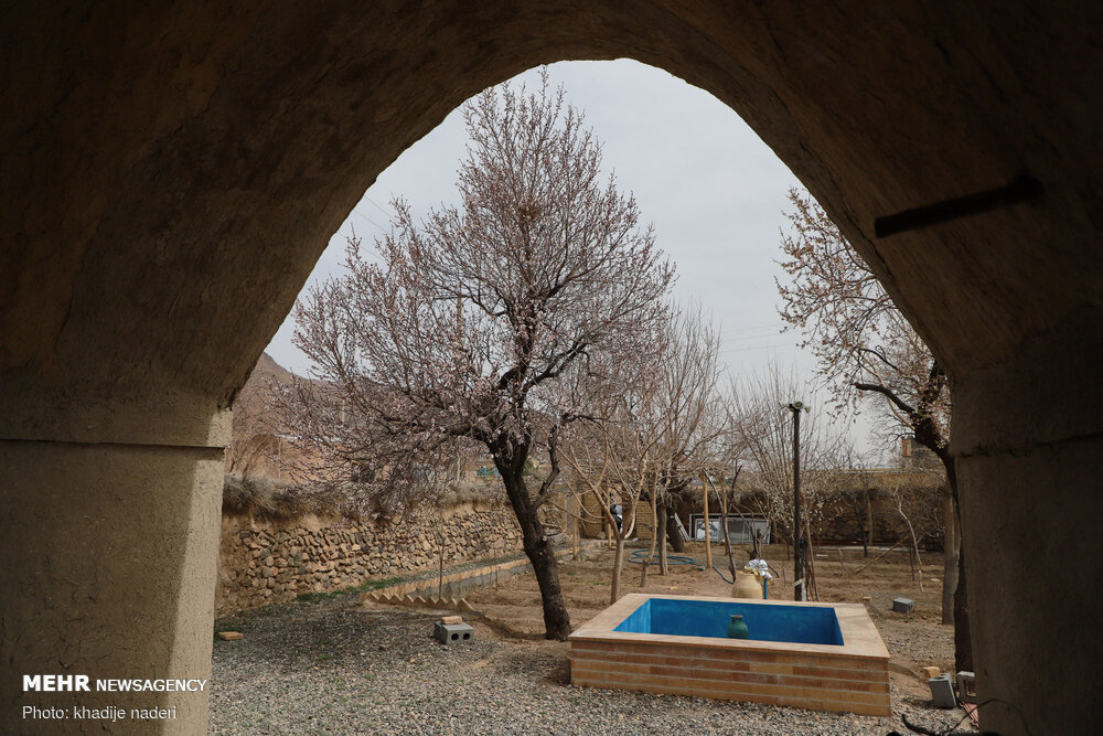 جنگ صنعت و طبیعت