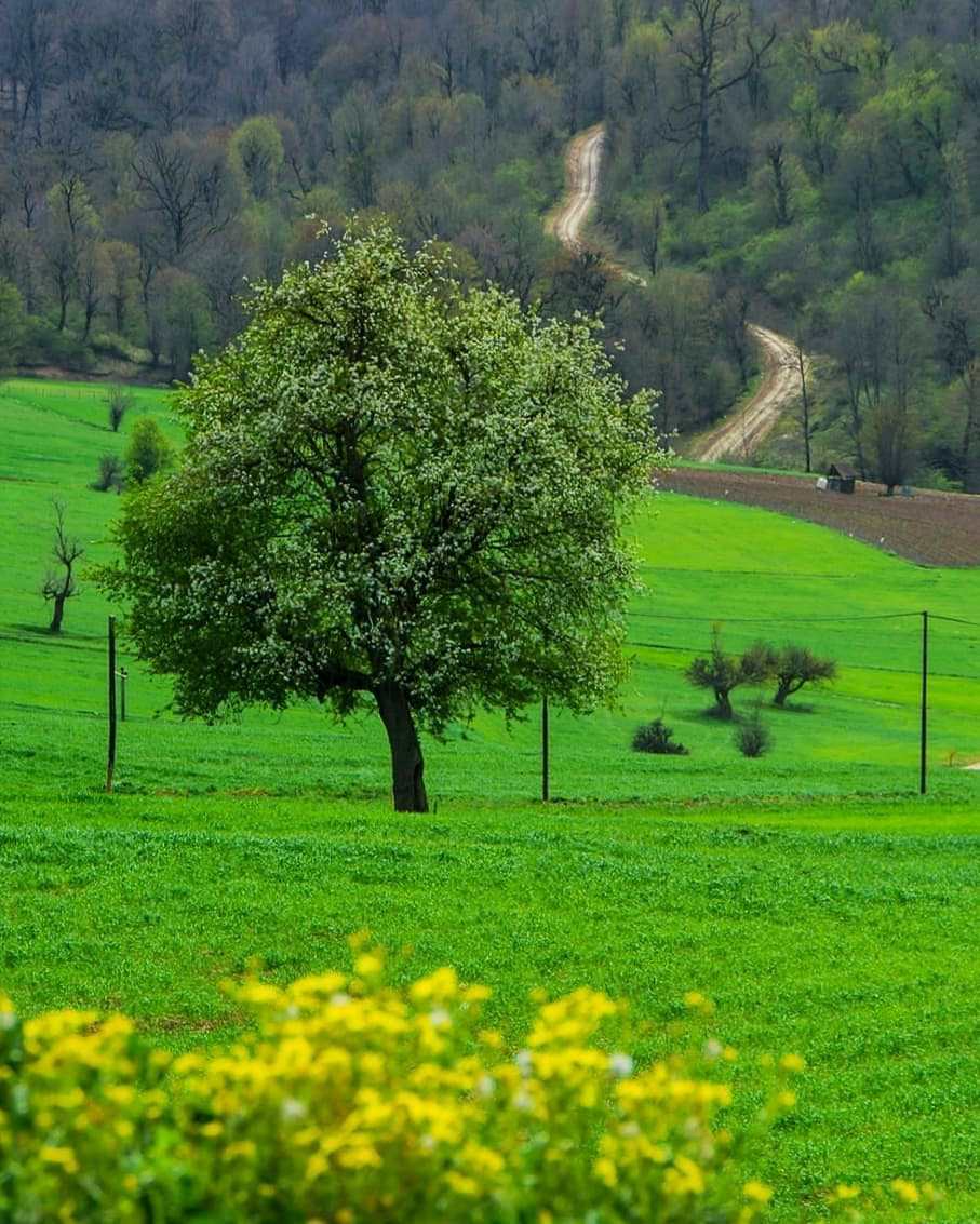 تصاویری از مازندران زیبا