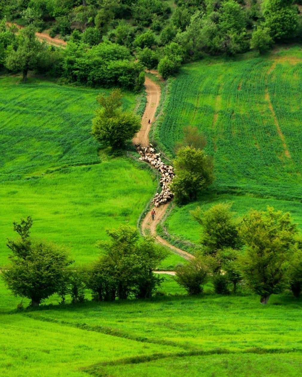 تصاویری از مازندران زیبا