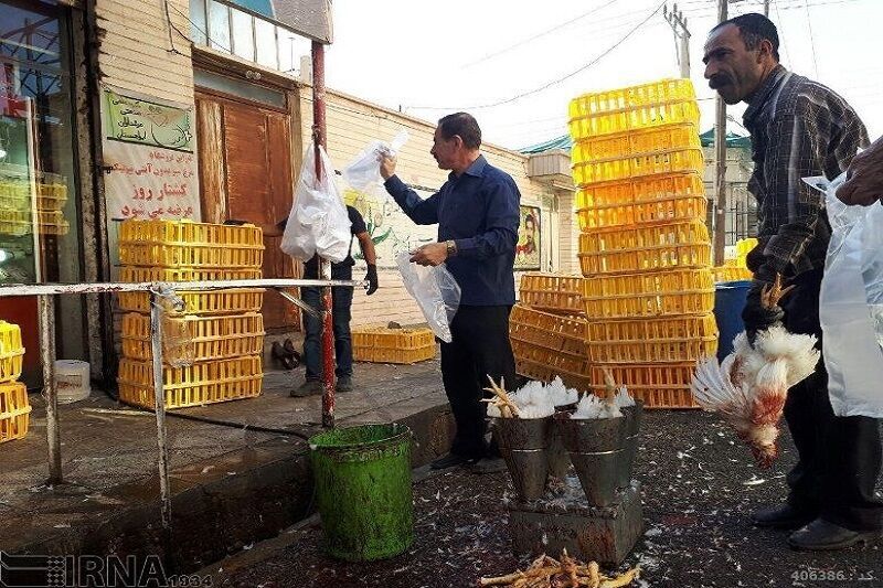 کشف ۹ تن مرغ زنده قاچاق در اردکان