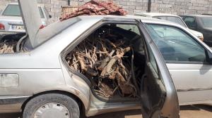 قاچاقچیان چوب جنگلی مأمور یگان منابع طبیعی خانمیرزا را زخمی کردند