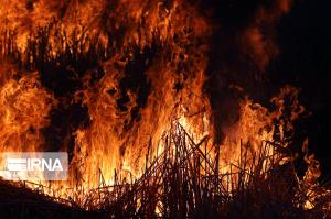 ۱۰۳ هکتار از عرصه منابع طبیعی استان سمنان در آتش سوخت