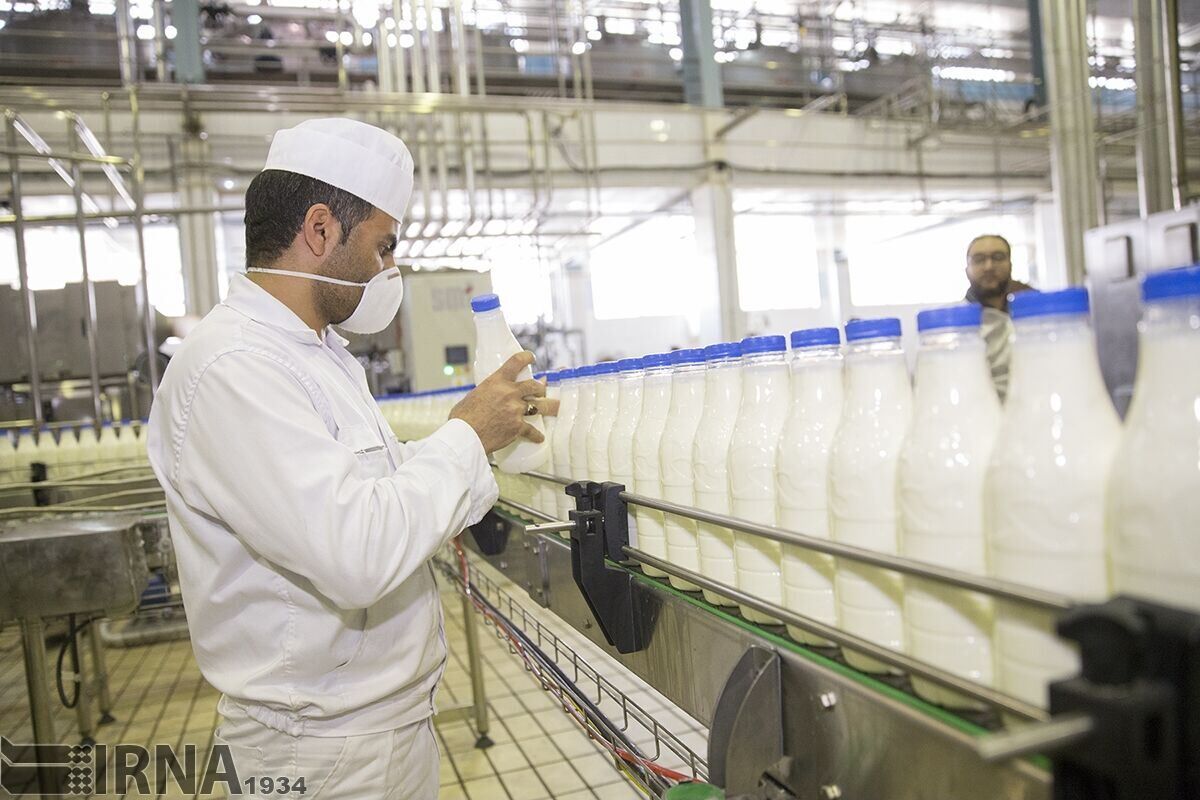 تولید شیر در قزوین از ۶۰۰ هزار تن فراتر رفت
