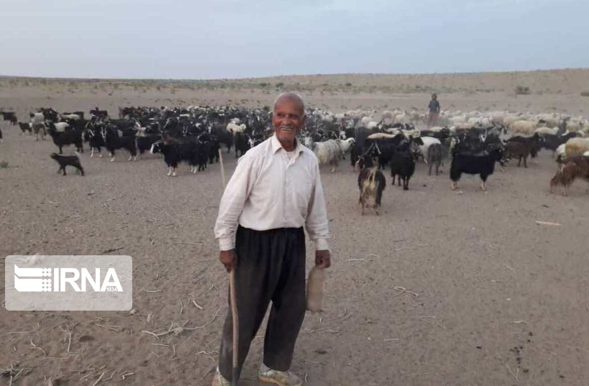 عکس/ روزهای پایانی قشلاق در کویر مرنجاب