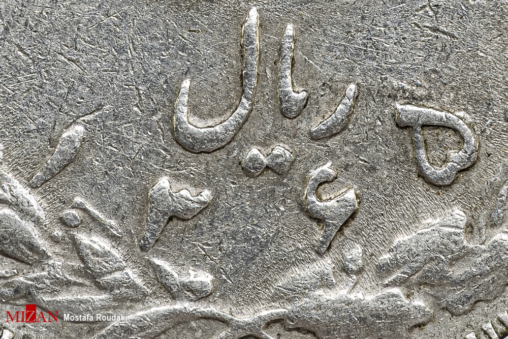 تصاویری خاص از نمای نزدیک