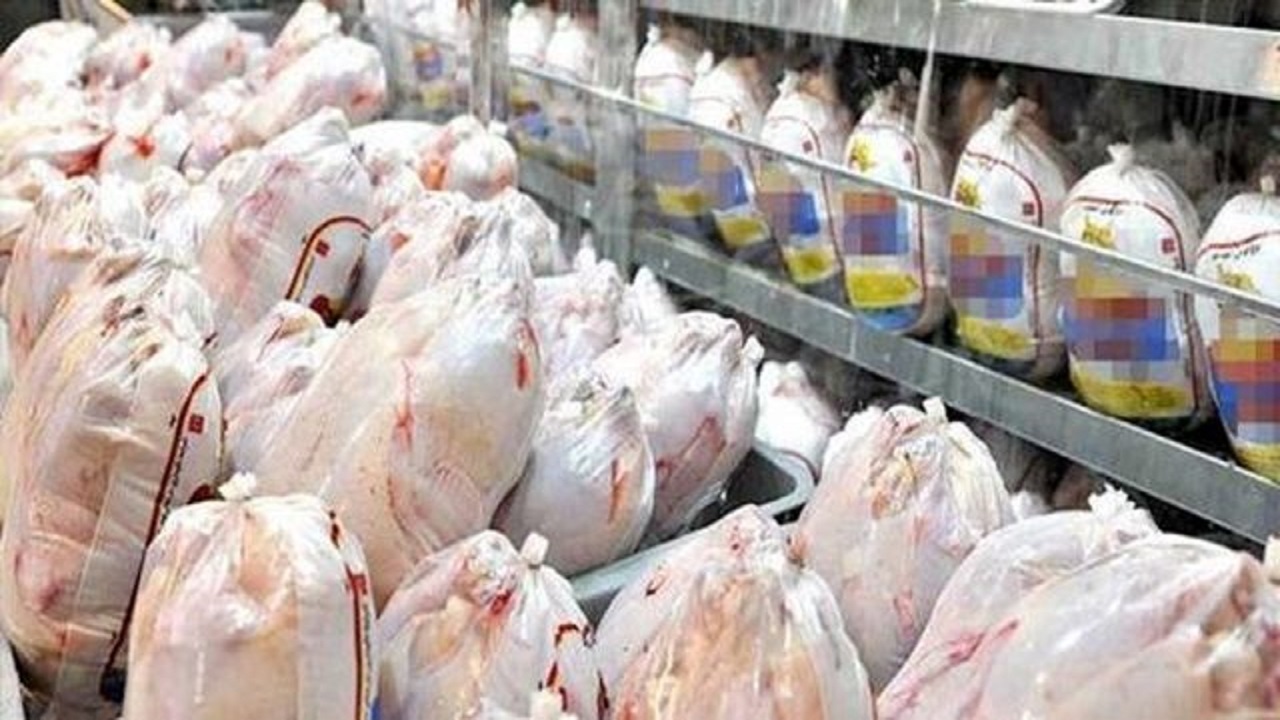 ۲۷۹ تن مرغ روانه بازار آذربایجان‌غربی شد