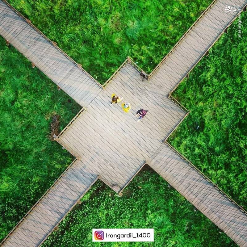 عکس/ پل چوبی زیبای آبکنار