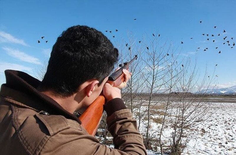 ۵۲۸ شکارچی سال گذشته در استان سمنان دستگیر شدند