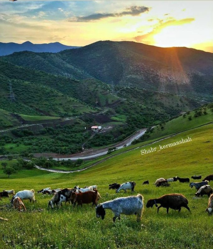 تماشای خورشید در طبیعت رویایی کرمانشاه