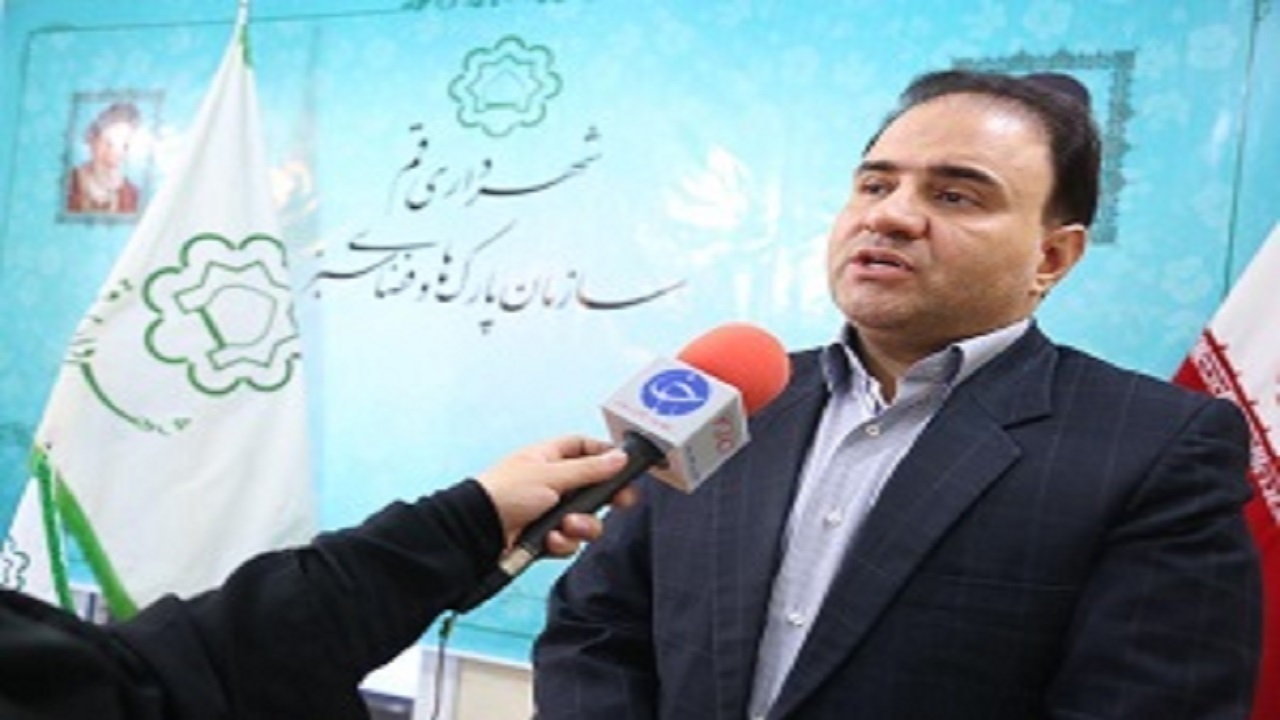 آغاز ملخ زدایی از بوستانهای جنگلی حاشیه شهر قم