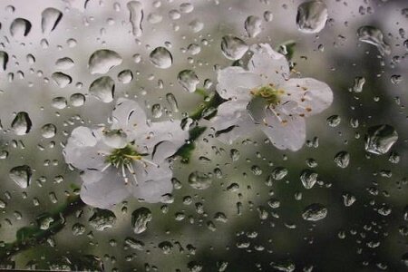 بارش باران و تگرگ در مناطق جلگه ای و کوهستانی گیلان