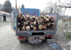 کشف و ضبط ۷تُن چوب قاچاق در محمودآباد