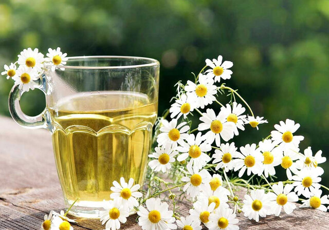 دمنوش بابونه را در سحر به‌جای آب مصرف کنید