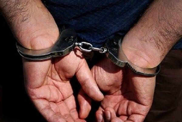 کشف ۱۷ فقره انواع سرقت در دهلران