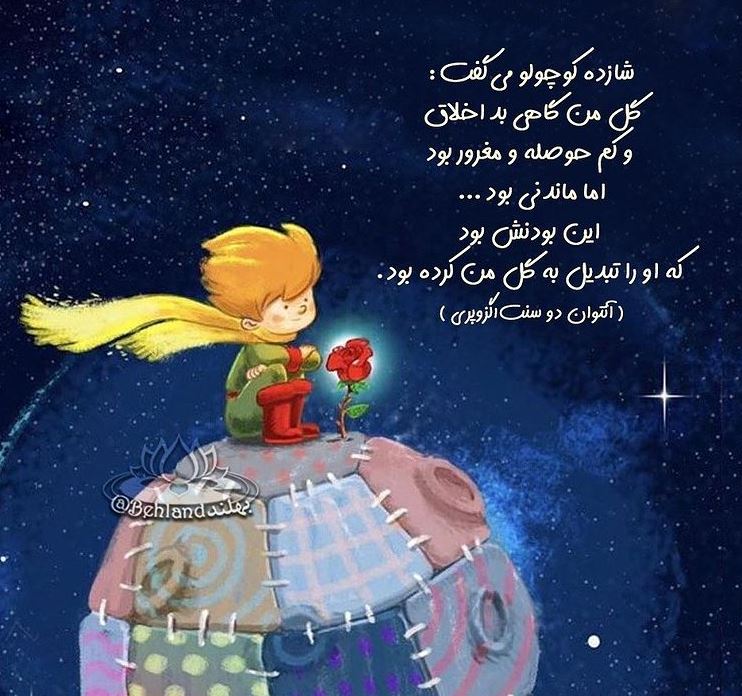 بخشی از کتاب/ گل من ماندنی بود