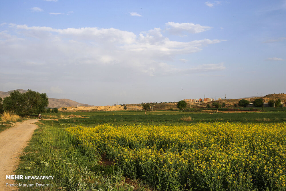 اردیبهشت بهشتی در خراسان شمالی