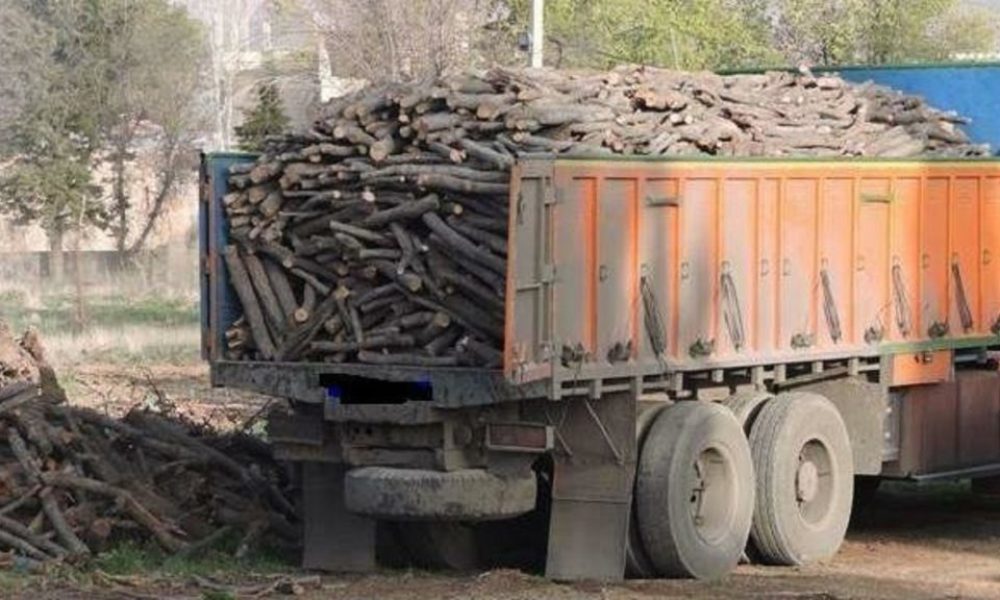 خودروی حامل درختان جنگلی قاچاق در میاندوآب توقیف شد