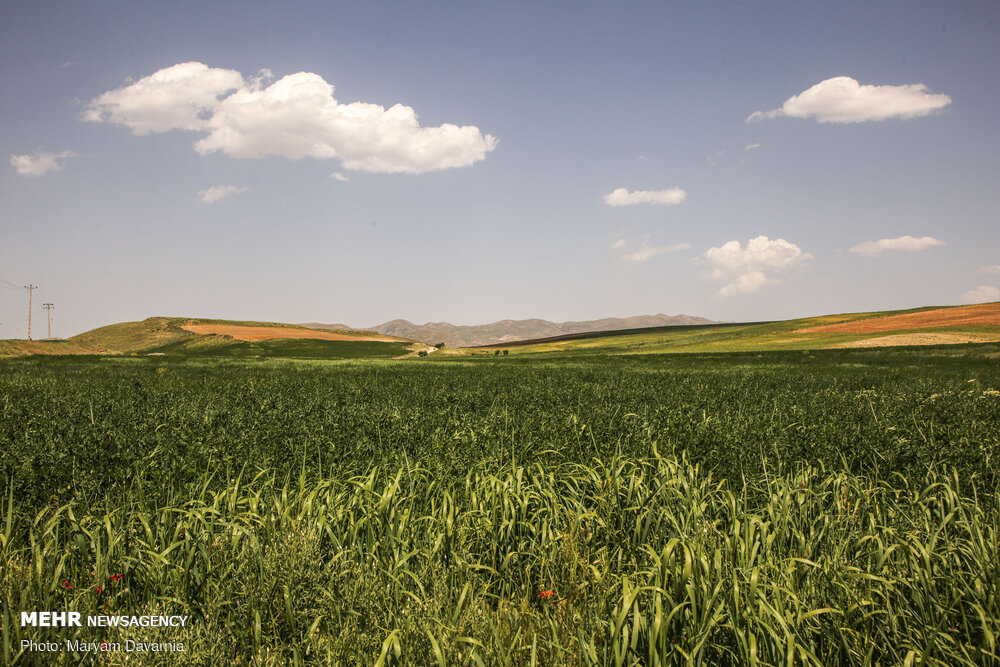 اردیبهشت بهشتی در خراسان شمالی