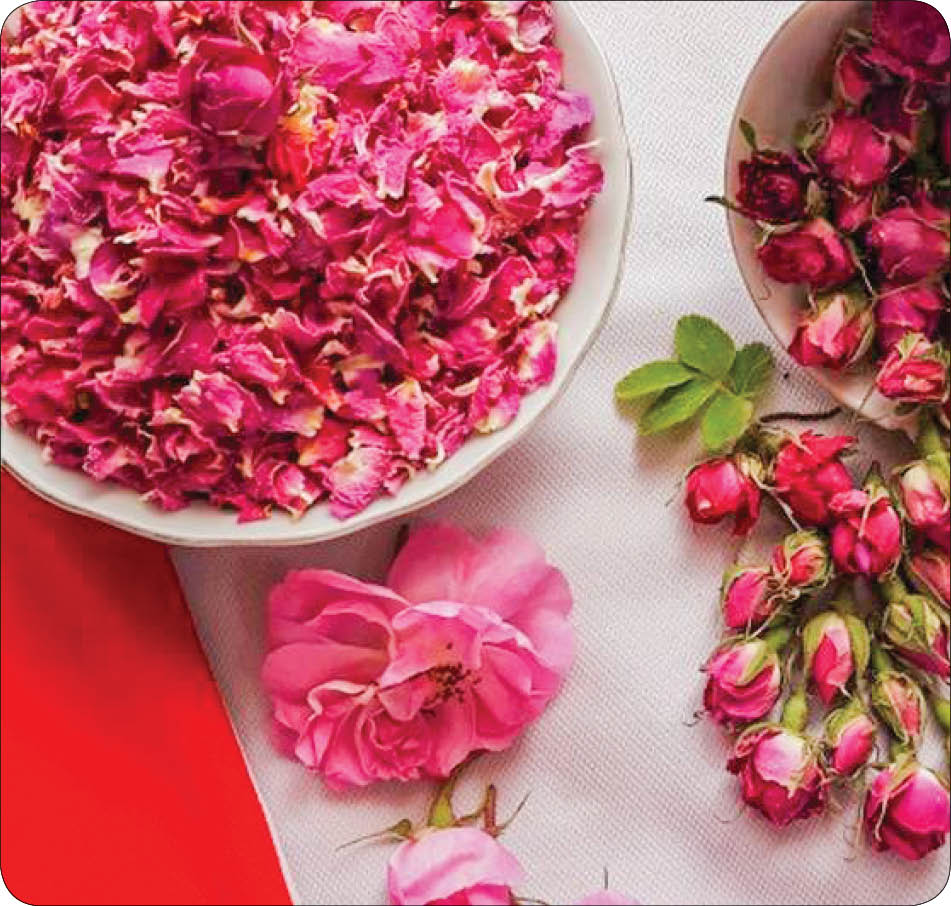 خواص گل محمدی و روشهای استفاده از آن