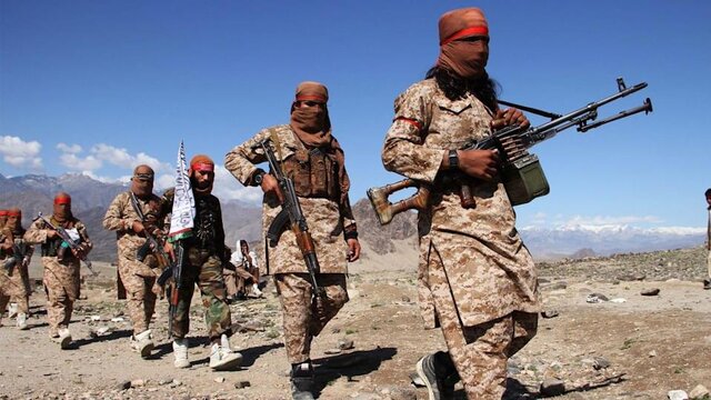 دیلی‌بیست: طالبان آماده است تا «عزیز» القاعده باشد
