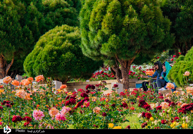 عکس/ ۱۵ اردیبهشت، روز شیراز