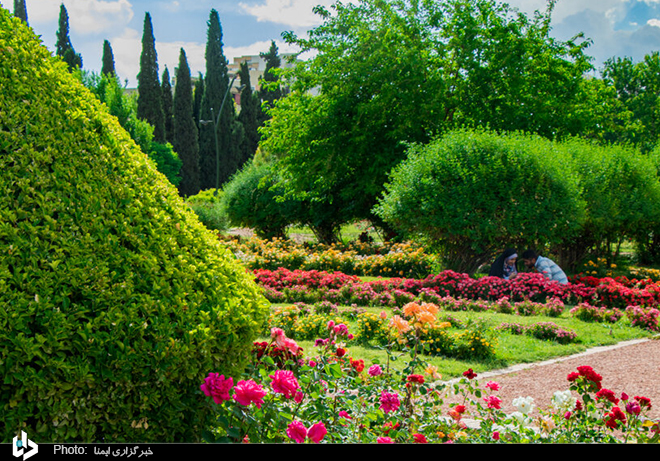 عکس/ ۱۵ اردیبهشت، روز شیراز