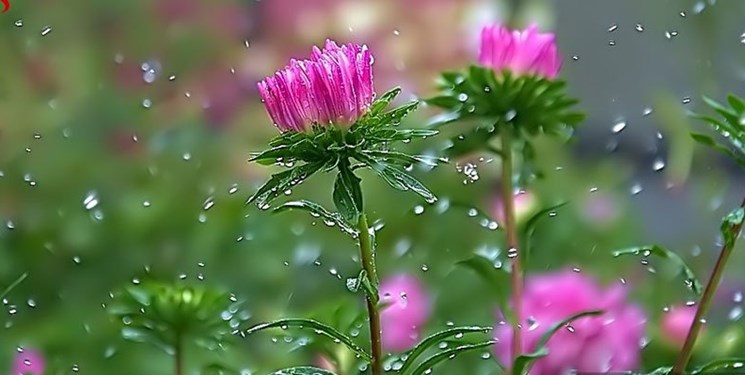 یکشنبهای آفتابی در مازندران