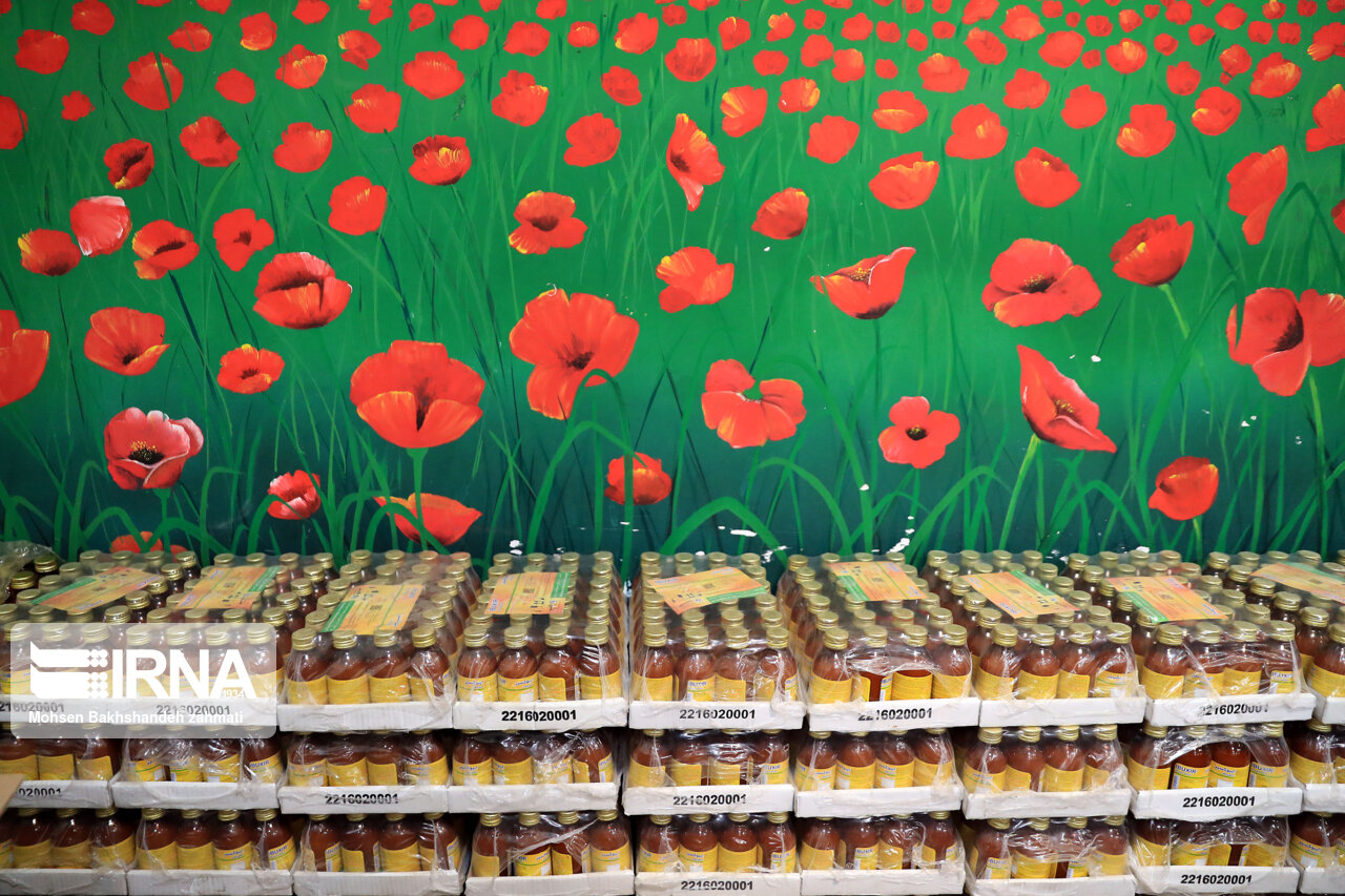 انهدام باند قاچاق دارو به افعانستان در فرودگاه مشهد