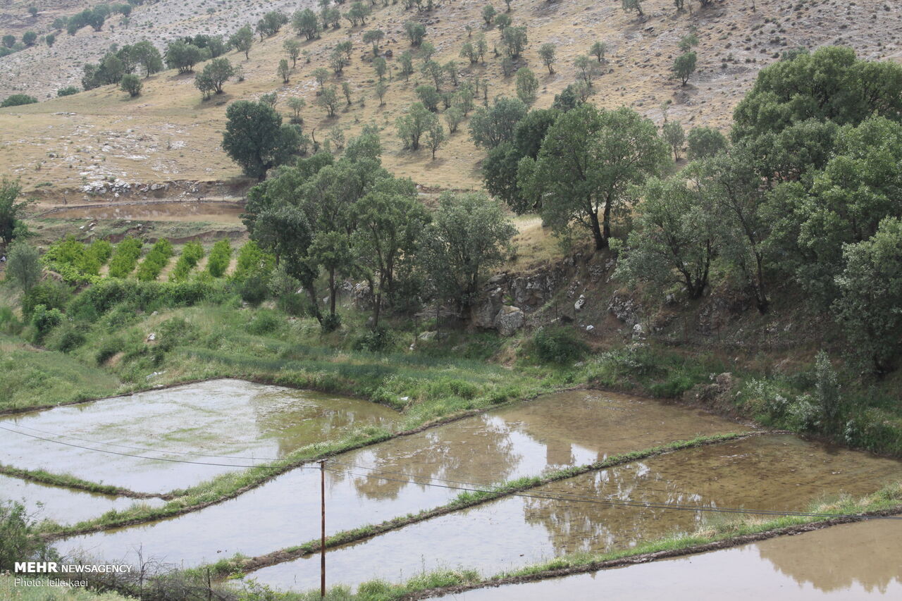 روستای زیبای «کلم» در ایلام