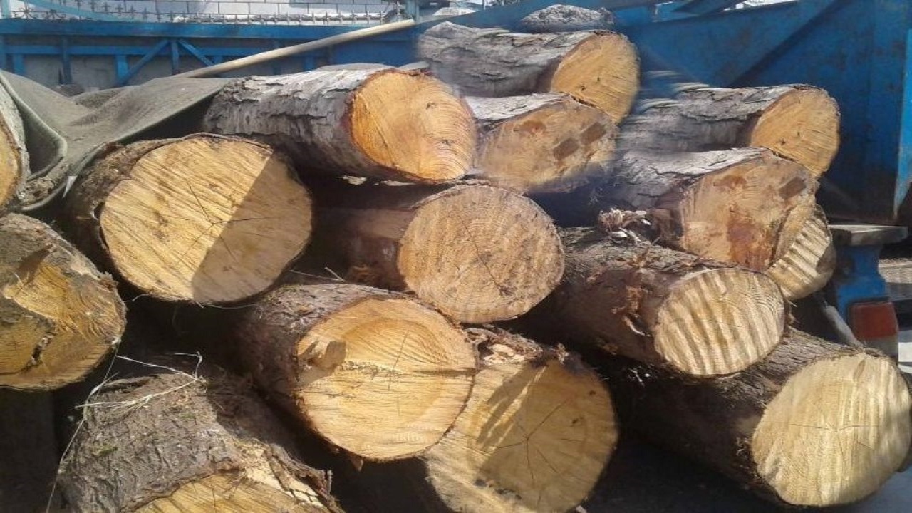 کشف چوب جنگلی قاچاق از ۲ دستگاه خودرو در آستانه‌اشرفیه