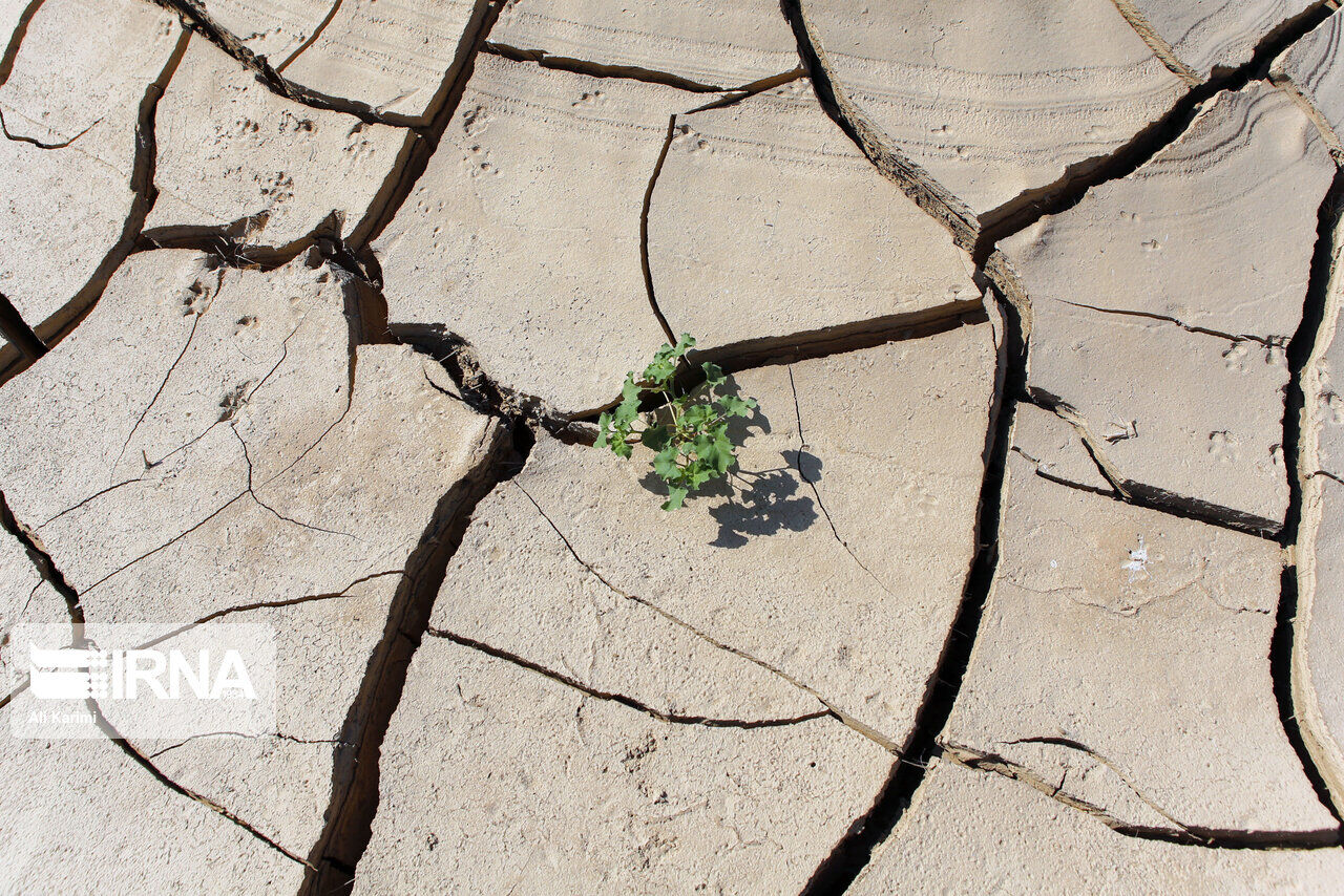 کم‌بارشی ۸۵ درصد پهنه استان سمنان را دچار خشکسالی کرد