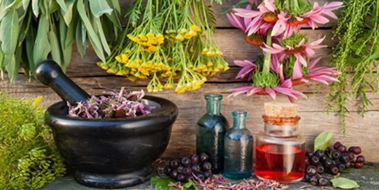 گیاه درمانی چیست؛ پیشگیری از بیماری با عصارههایی شفابخش