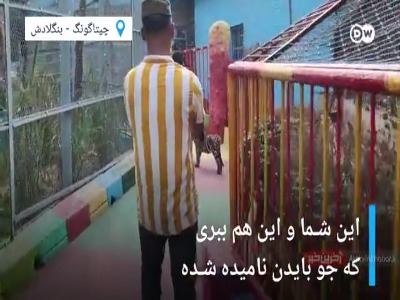 یک ببر در بنگلادش "جو بایدن" نام گرفت!