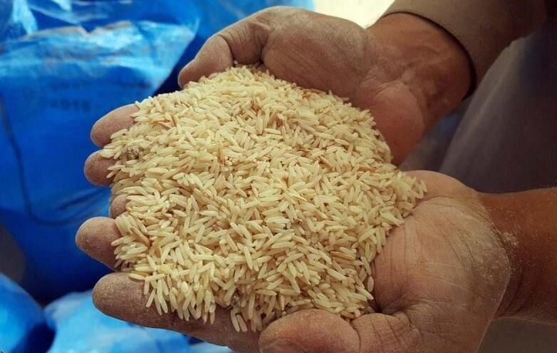 مخلوط کردن برنج نامرغوب با برنج وارداتی توسط افراد سودجو در خوزستان