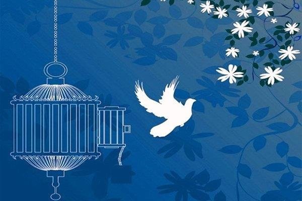 آزادی زندانیان جرائم غیر عمد در بوشهر توسط خواننده مشهور
