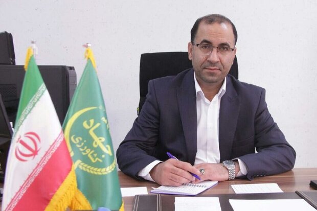 تولید ۳۰ هزار تن بذر گندم و جو در لرستان